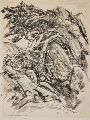 Arthur Lismer, Rock and Pine Vancouver, 1960. Ink on paper, 33.0 cm x 25.4 cm. Collection of the Varley Art Gallery of Markham. Purchased by the Varley-McKay Art Foundation of Markham, 2001.4.1.